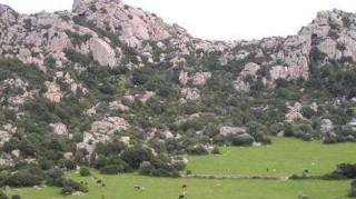  Parque Setle Fratelli 